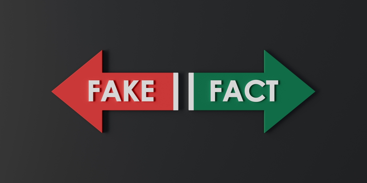 팩트 확인